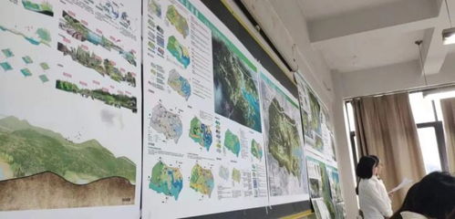 從景觀到服務設計 跨專業保研中的文藝創作與產品合理性構建